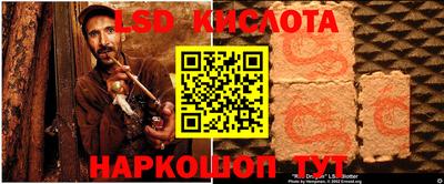 молекула духа Новозыбков