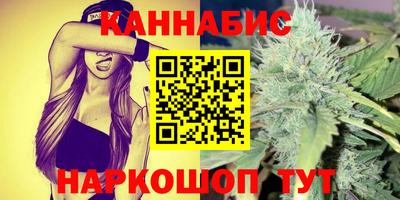 молекула духа Новозыбков